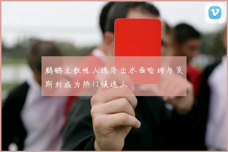 鹈鹕主教练人选浮出水面哈姆与莫斯利成为热门候选人