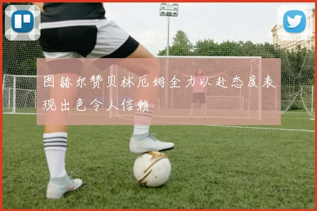 图赫尔赞贝林厄姆全力以赴态度表现出色令人信赖