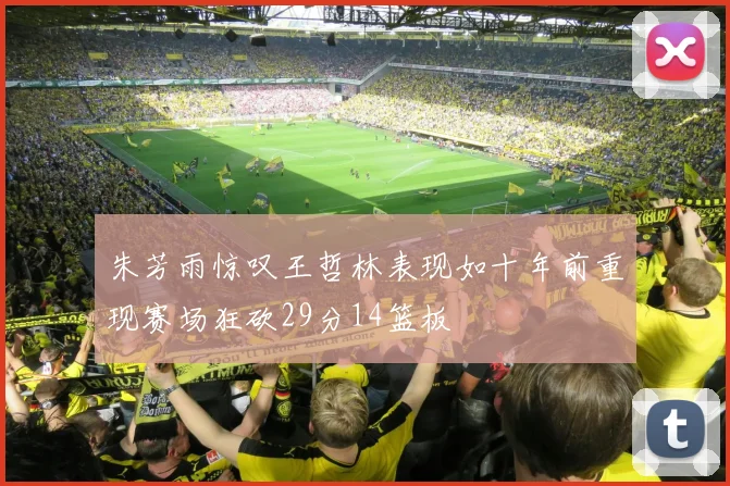 朱芳雨惊叹王哲林表现如十年前重现赛场狂砍29分14篮板